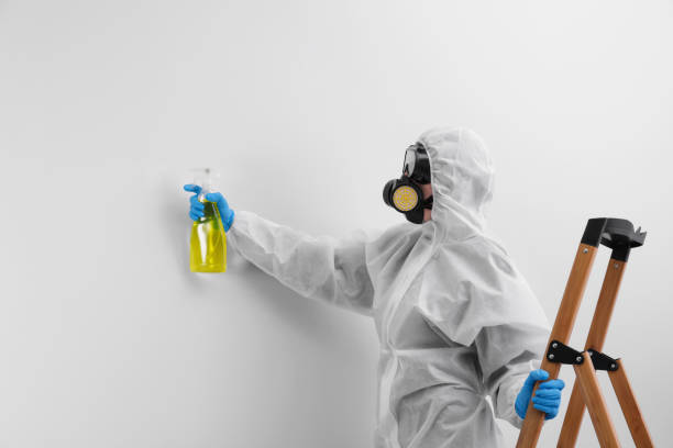  , NJ Mold Removal Pros